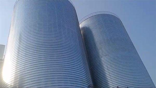 礼纪镇2座混凝土高架卷板仓